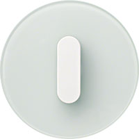 Berker R.Classic, Рамка: полярная белизна. Вставка: полярная белизна. стекло