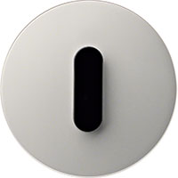 Berker R.Classic, Рамка: . Вставка: 