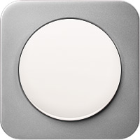 Berker R.1, Рамка: нержавеющая сталь. Вставка: полярная белизна