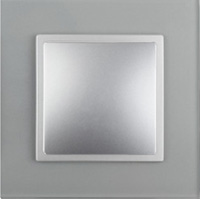 ЭРА Elegance, цвет: Алюминий