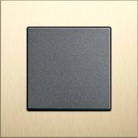 GIRA, Esprit, Цвет: Алюминий-светлое золото / Антрацит