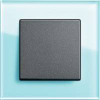 GIRA, Esprit, Цвет: Салатовое стекло / Антрацит