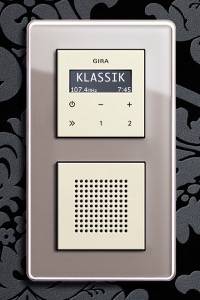 GIRA, Esprit, Цвет: Дымчатое стекло