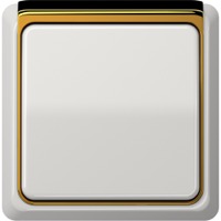 JUNG, CD plus, Цвет: Светло-серый / Полированное золото