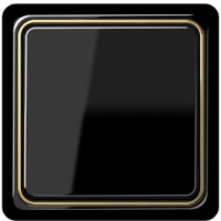 JUNG, CD plus, Цвет: Черный / Полированное золото