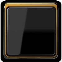 JUNG, CD plus, Цвет: Черный / Полированное золото