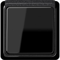 JUNG, CD plus, Цвет: Черный / Гранит