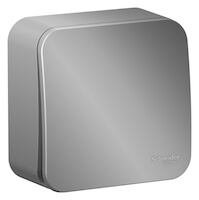 Выключатель открытого монтажа Schneider Electric, Blanca, Цвет: Алюминий