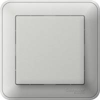 Schneider Electric, W59, Цвет: Матовый хром