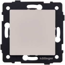 Заглушка
Aspekt,  Eleganz,  Reflex,   цвет - кашемир матовый,  пластмасса,  REA-707CM,  Kollinger
 - PULSAL.RU