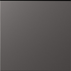 Клавиша для выключателей, переключателей и кнопок
S08,  одноклавишный,  без подсветки,   цвет - титан матовый,  пластмасса,  DS29645,  Donel
 - PULSAL.RU