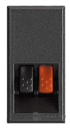 Розетка акустическая
Axolute,  Axolute AIR,  1 пара,   цвет - антрацит,  пластмасса,  HS4294,  BTicino
 - PULSAL.RU