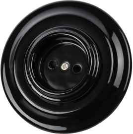 Розетка
Болонь,  без шторок,  без заземления,  одинарная,  винтовые клеммы,   цвет - черный,  фарфор / керамика,  SQ1820-0221,  TDM
 - PULSAL.RU