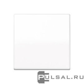 Клавиша
AS 500,  одноклавишный,  без подсветки,   цвет - белый,  пластмасса,  AS591WW,  AS 591 WW,  JUNG
 - PULSAL.RU