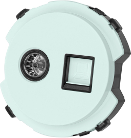 Розетка оконечная TV+RJ45 Cat.5 (UTP)
Байкал,  телевизионная (TV),  одинарная,   цвет - фисташковый,  пластмасса,  SQ1819-0119,  TDM
 - PULSAL.RU