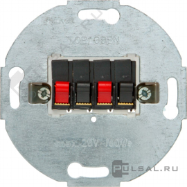 Механизм розетки акустической
R.1,  R.3,  R.8,  R.Classic,  K.1,  K.5,  Q.1,  Q.3,  Q.7,  S.1,  B.3,  B.7,  1930,  Glas,  2 пары,   цвет - антрацит матовый,  пластмасса,  457305,  4573 05,  Berker
 - PULSAL.RU