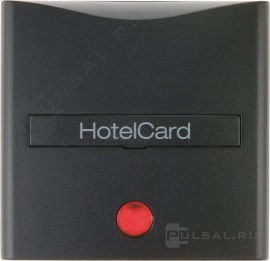 Hакладка карточного выключателя
B.3,  B.7,  с индикацией,   цвет - антрацит матовый,  пластмасса,  16401606,  1640 16 06,  Berker
 - PULSAL.RU