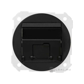 Розетка наклонная RJ45
Simon 88,  одинарная,   цвет - графит,  пластмасса,  88081-38,  Simon
 - PULSAL.RU