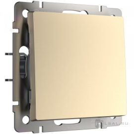Выключатель
Alumax,  Split,  Slab,  Senso,  Baguette,  Acrylic,  Platinum,  Elite,  Snabb,  Stream,  Flock,  Stark,  Fiore,  Favorit,  Diamant,  Aluminium,  Antik,  Metallic,  одноклавишный,  без подсветки,   цвет - шампань,  пластмасса,  W1110011,  a050869,  Werkel
 - PULSAL.RU