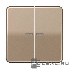 Клавиши
CD 500,  двухклавишный,  с подсветкой,  с индикацией,   цвет - золотая бронза,  металл,  CD595KO5GB,  CD 595 KO5 GB,  JUNG
 - PULSAL.RU